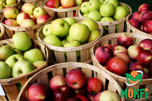 تقديم أعلى مستويات الجودة لتفاح 