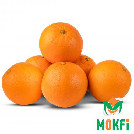 برتقال تصدير في كميات كبيرة