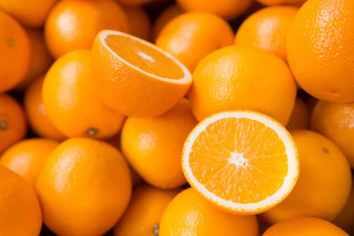  البرتقال اليوم في محطات التصدير؛ كبيرة متوسطة إيران إسبانيا أمريكا Vitamin C 