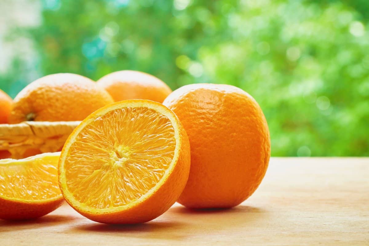  البرتقال اليوم في محطات التصدير؛ كبيرة متوسطة إيران إسبانيا أمريكا Vitamin C 