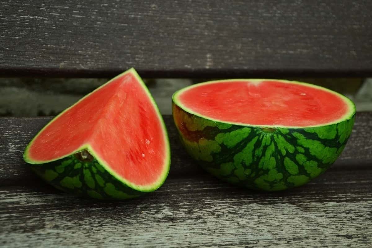  فوائد البطيخ الأحمر المجفف وأسعاره والممنوعين من تناوله 
