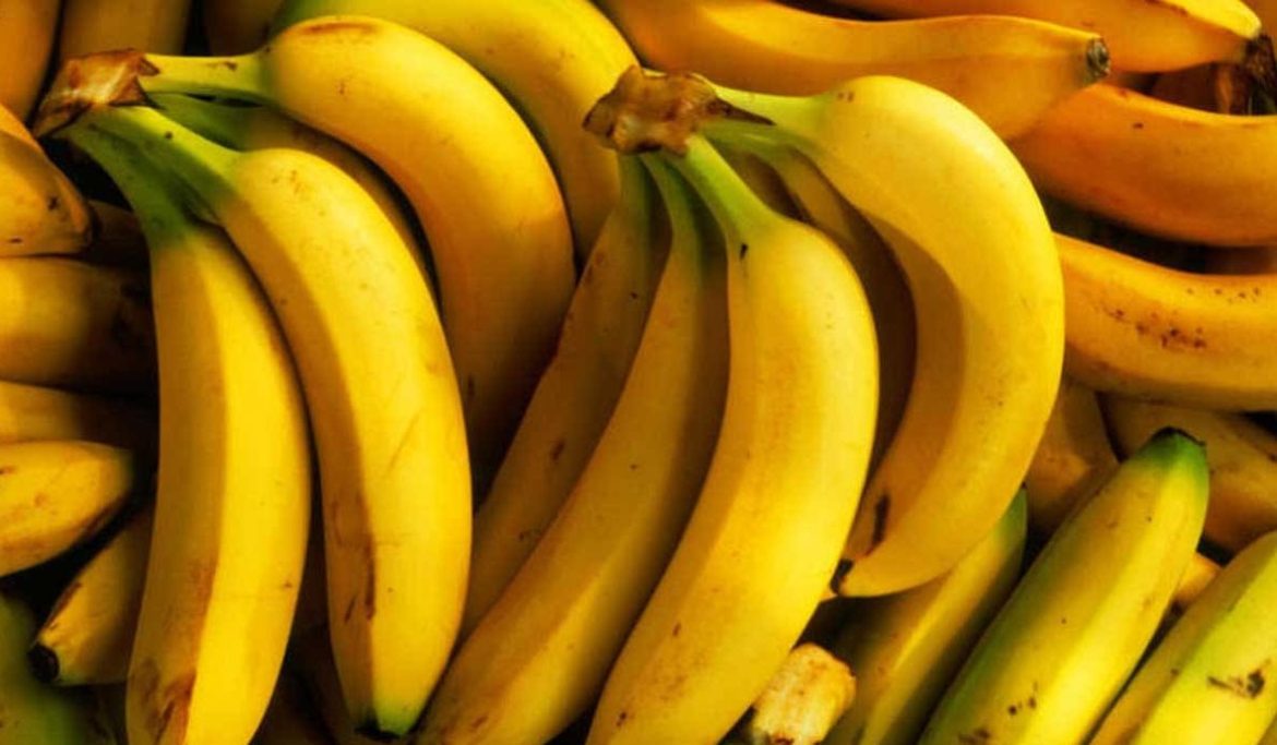 سعر أنواع فاكهة الموز